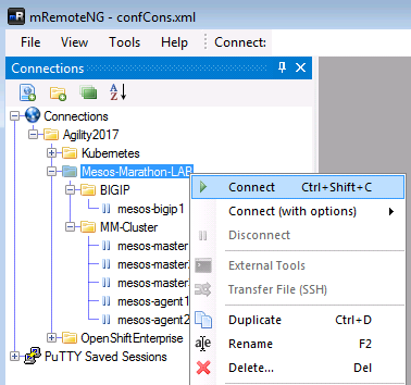 ../../_images/mesos-lab-mremoteng.png