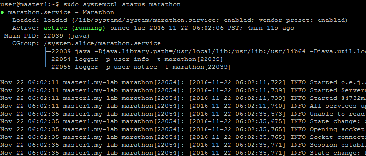 ../../_images/setup-master-check-service-marathon.png