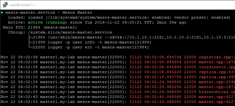 ../../_images/setup-master-check-service-mesos-master.png