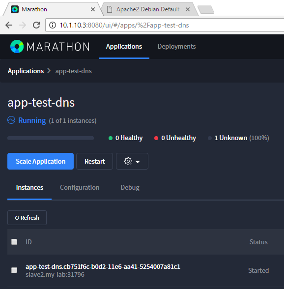 ../../_images/setup-mesos-dns-test-create-app.png