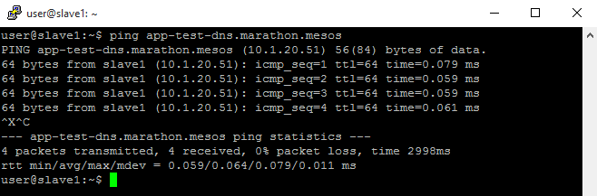 ../../_images/setup-mesos-dns-test-ping-app.png
