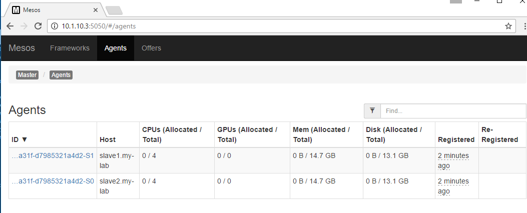../../_images/setup-slave-check-agent-registration.png