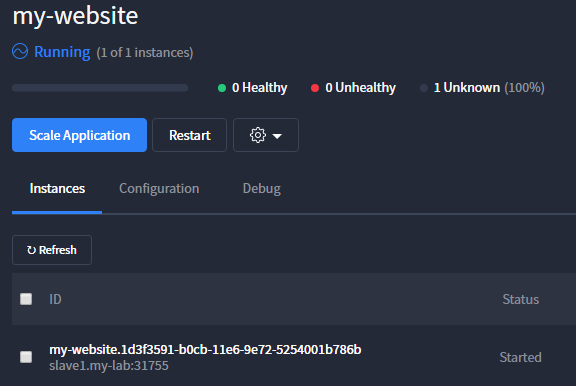 ../../_images/setup-slave-test-create-container-check-port.png