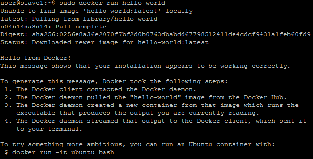 ../../_images/setup-slave-test-docker.png